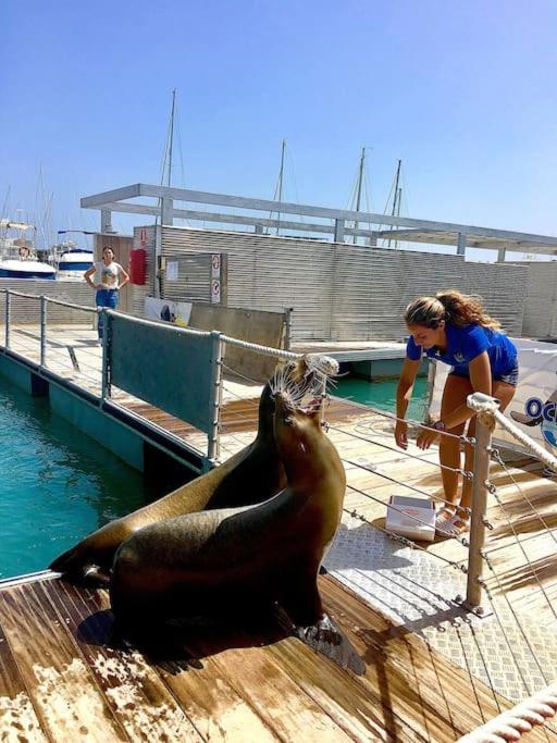 206 Pueblo Pescadores Caleta De Fuste Kültér fotó